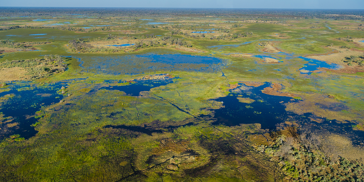The Okavango Delta from the air
