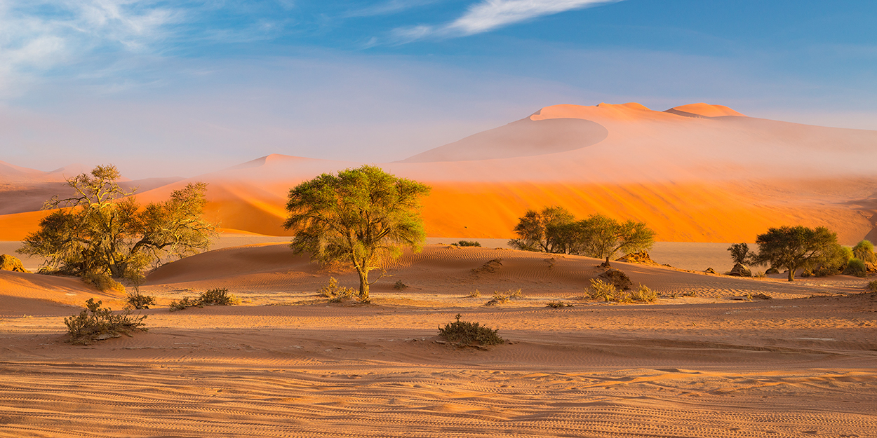 Sand dunes in the Namib desert at dawn, roadtrip in the wonderfu
